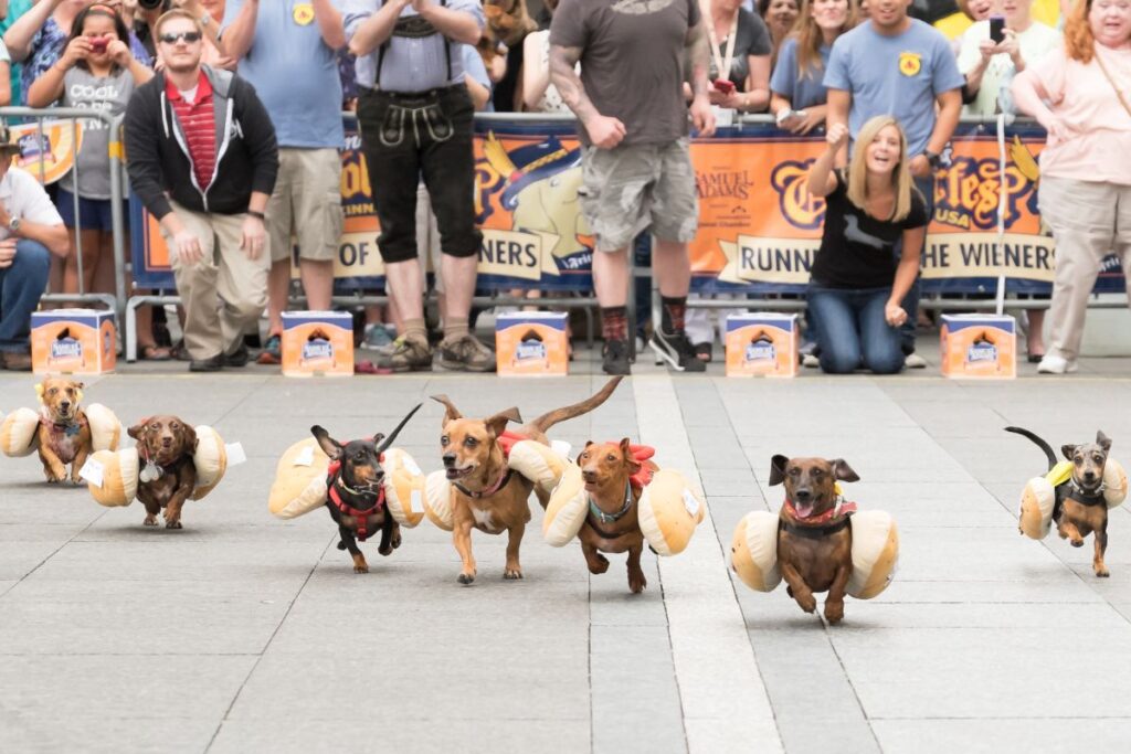 Cincy Region Festivals