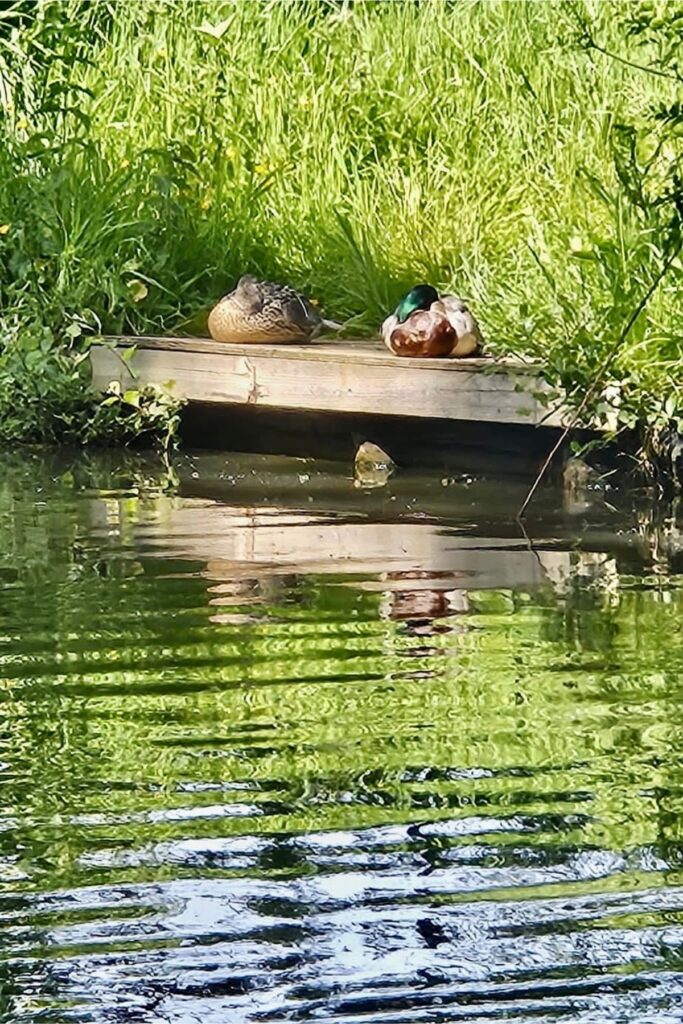 narrowboat holiday