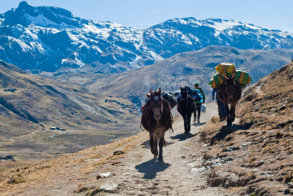 trekking