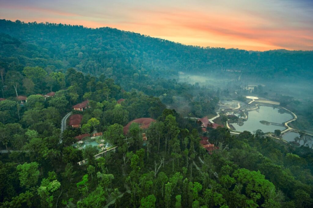 forest sanctuary