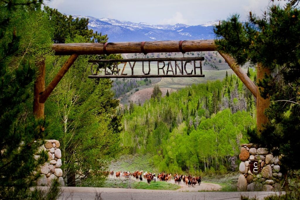 Colorado