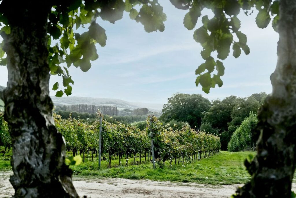 Domaine Evremond’s Classic Cuvée Edition I