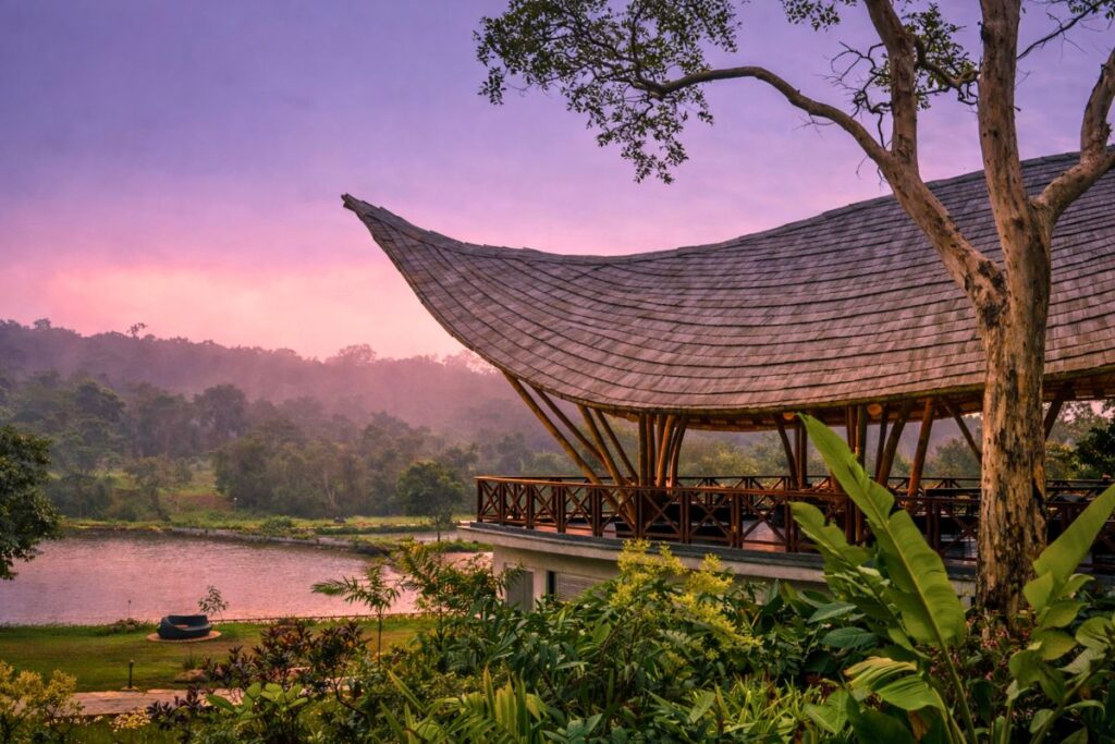 forest sanctuary
