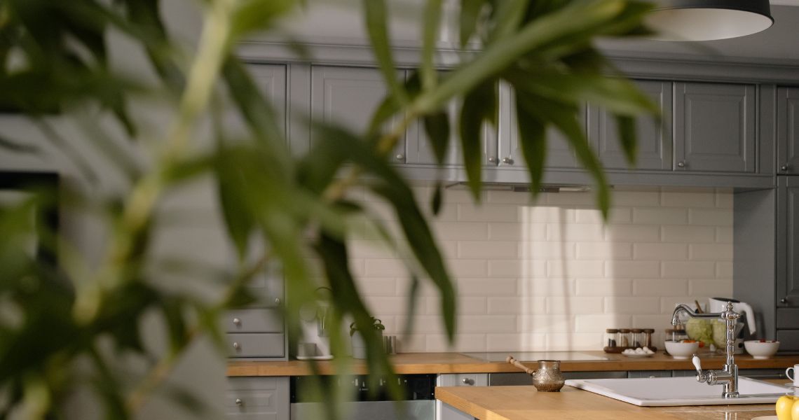 Kitchen respraying service