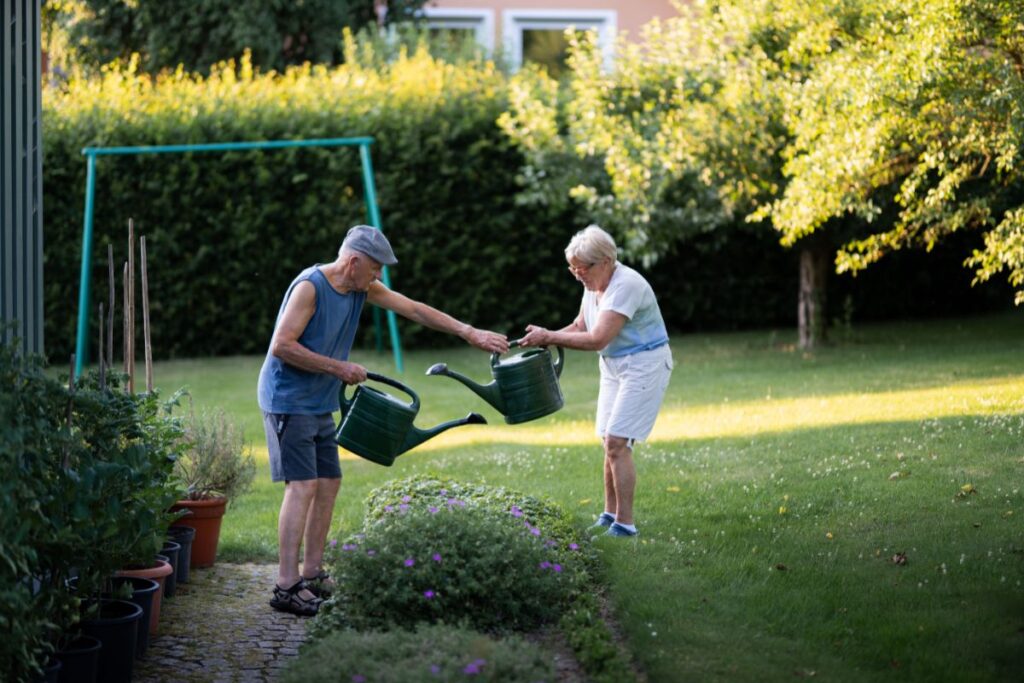 personalised care