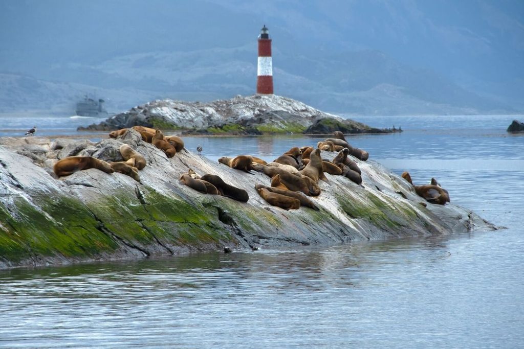Patagonia and Indonesia