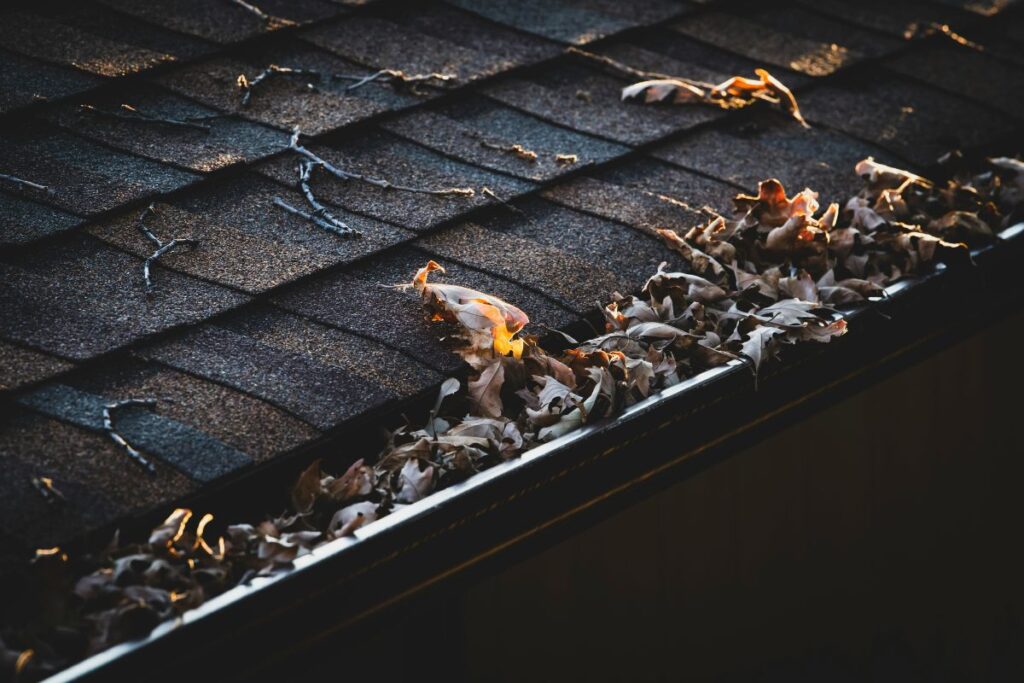 roofing problems