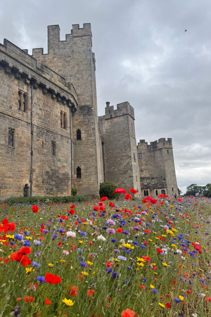 family getaways in Durham