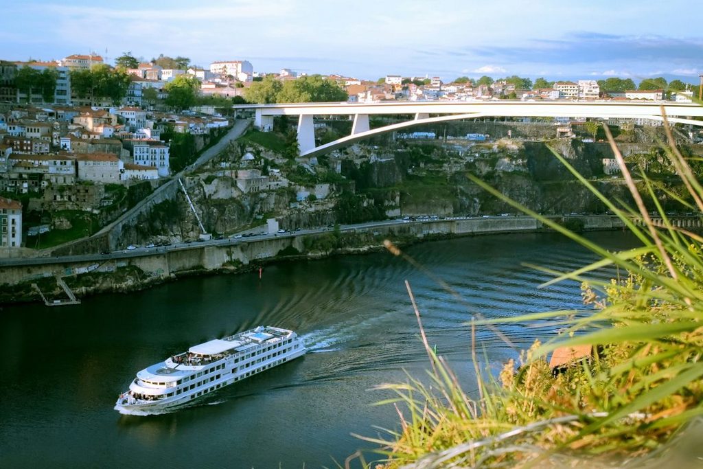 choosing a cruise