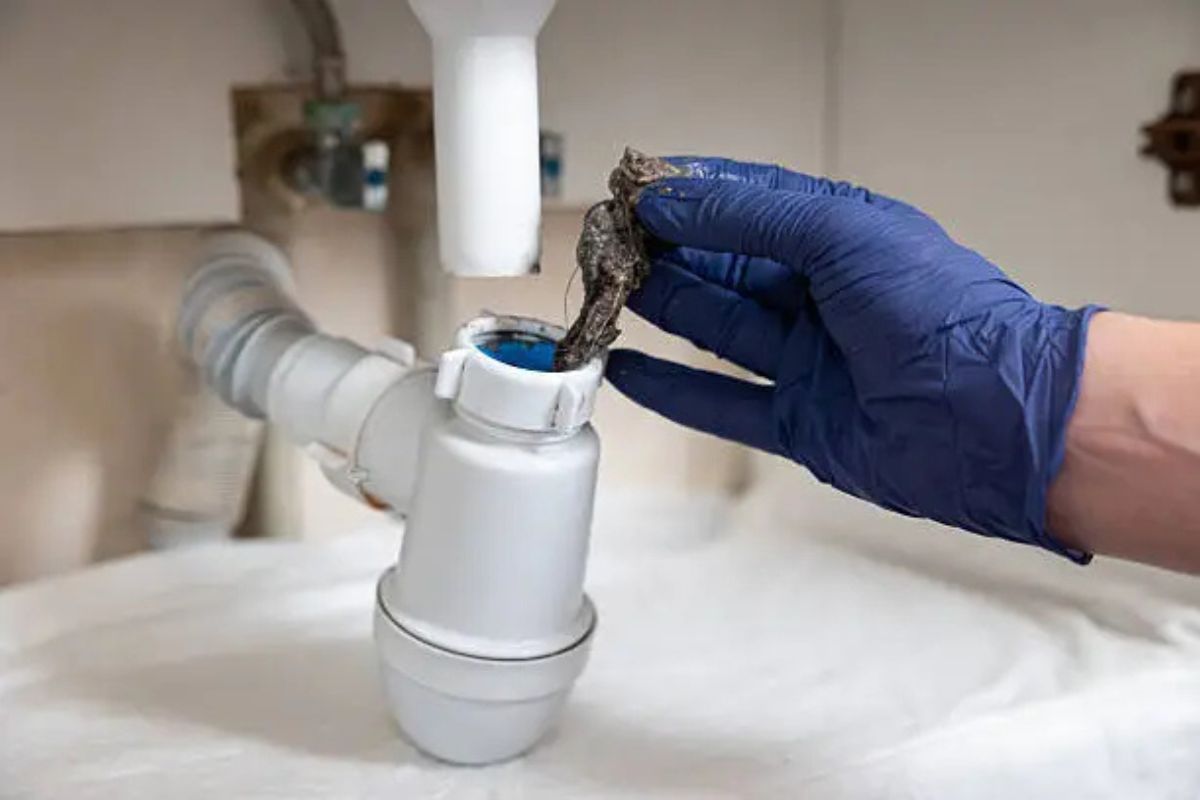 tips to avoid damage to your pipes