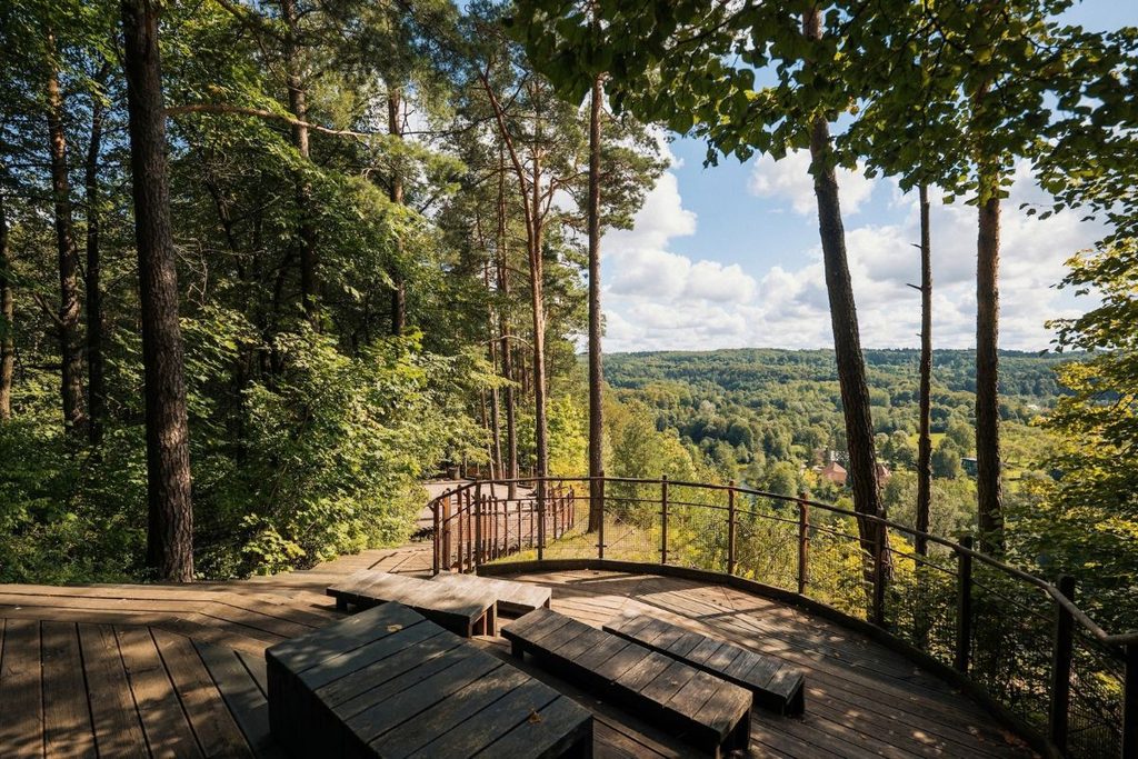 forest bathing in Lithuania