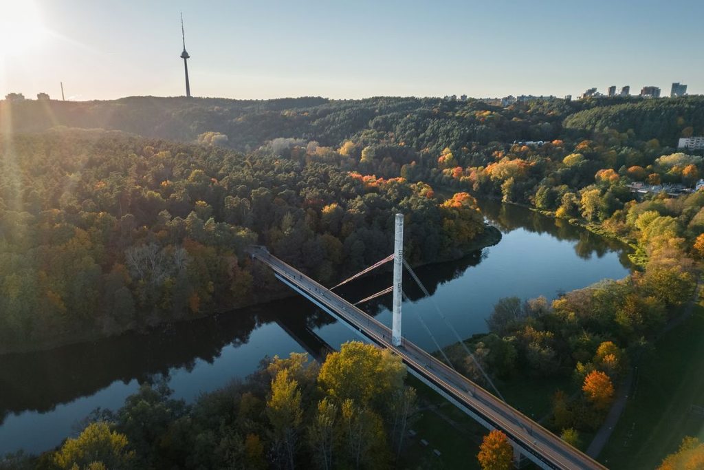 forest bathing in Lithuania