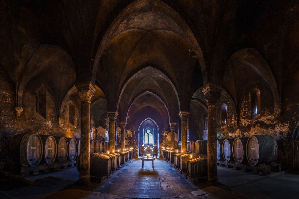 immersive travel experiences with Riviera Travel