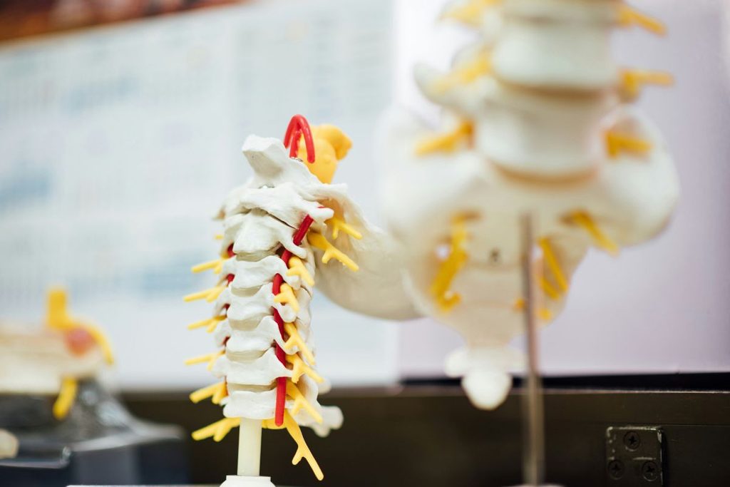 chiropractic care