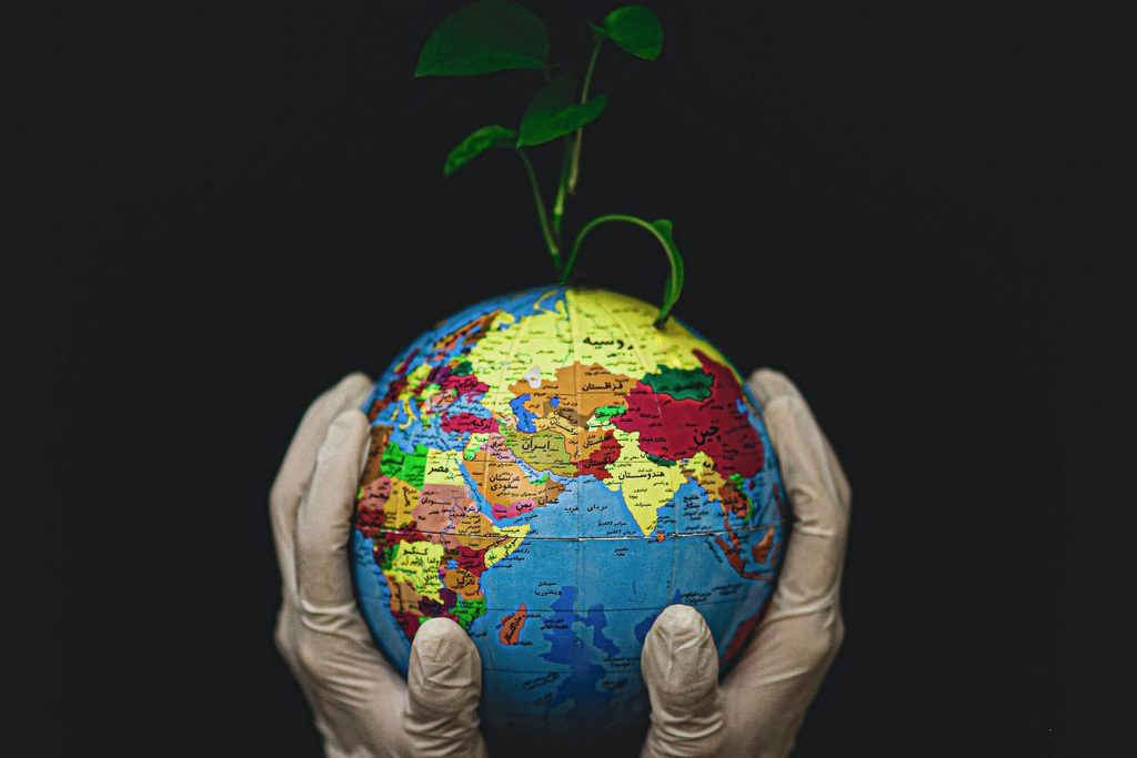 sustainable living