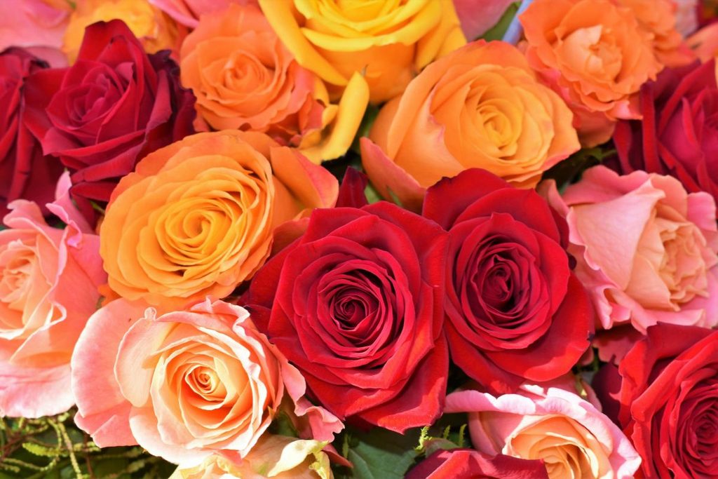special occasion flowers