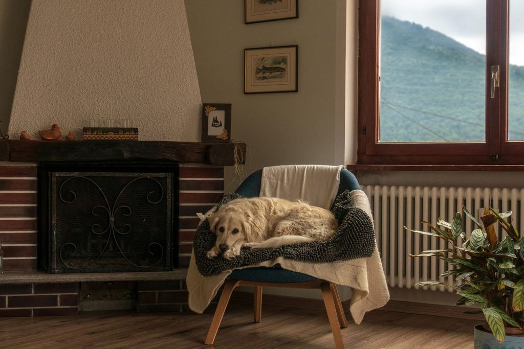 staying cosy in winter