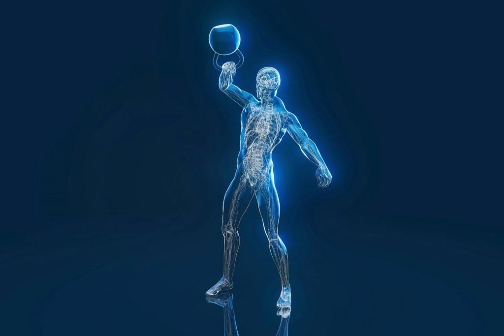 human performance