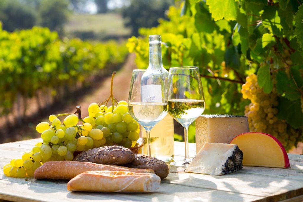 immersive travel experiences with Riviera Travel