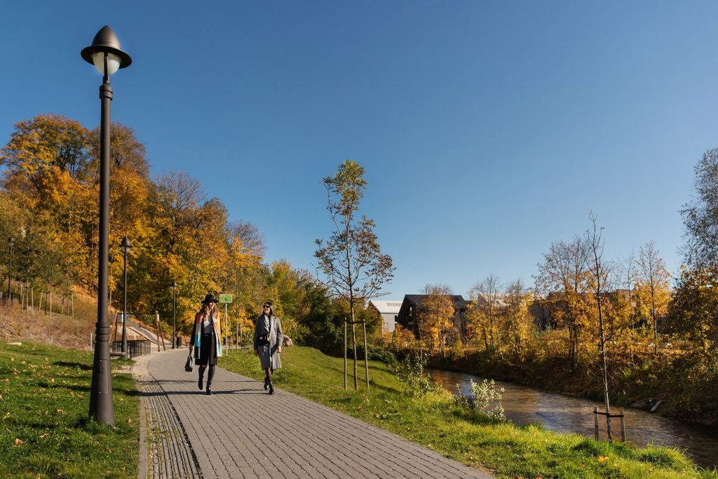 forest bathing in Lithuania