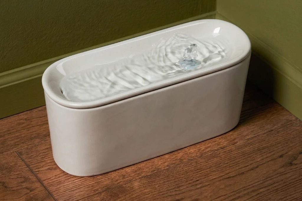 drinking fountains for cats