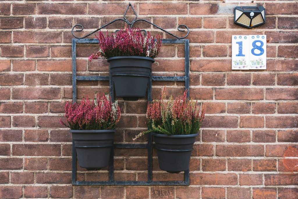 gardening hacks