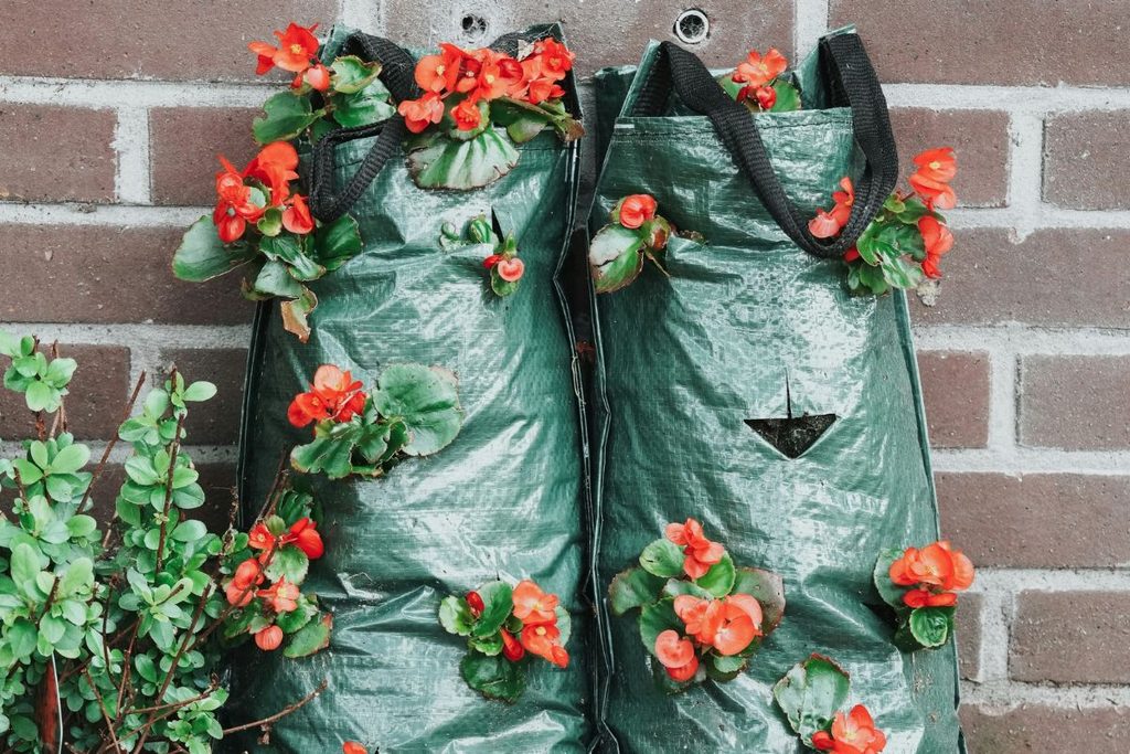 gardening hacks
