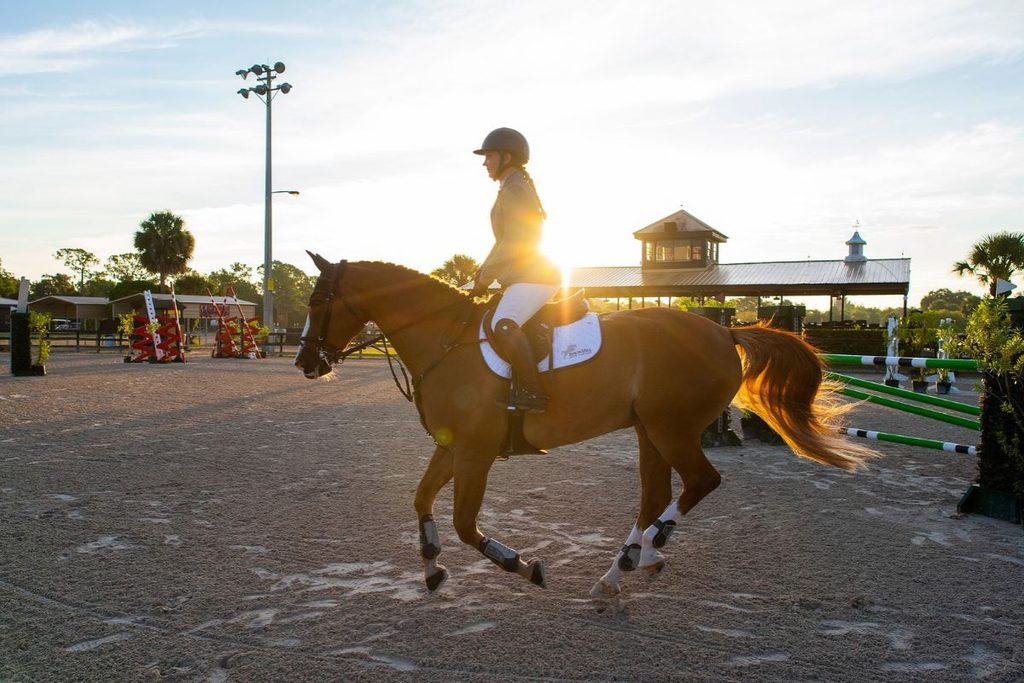 polo in Sarasota County