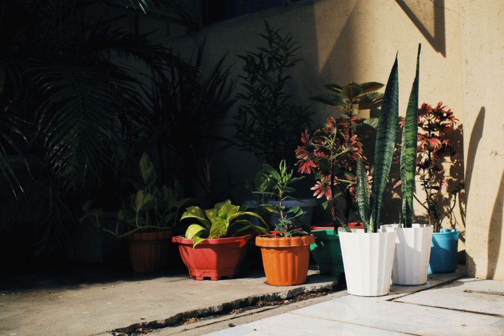 gardening hacks