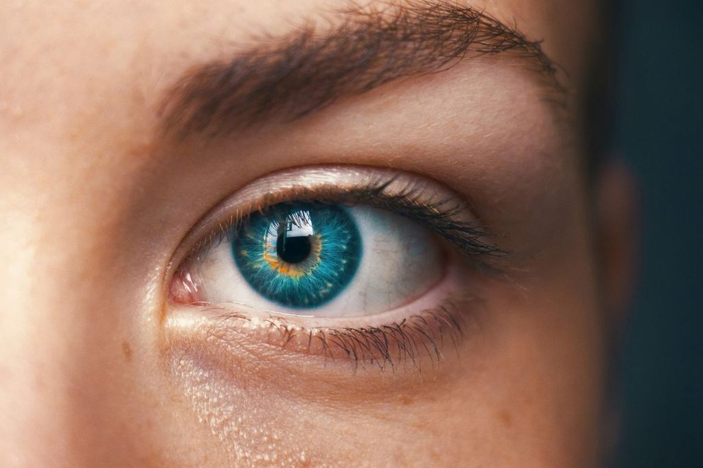 contact lenses