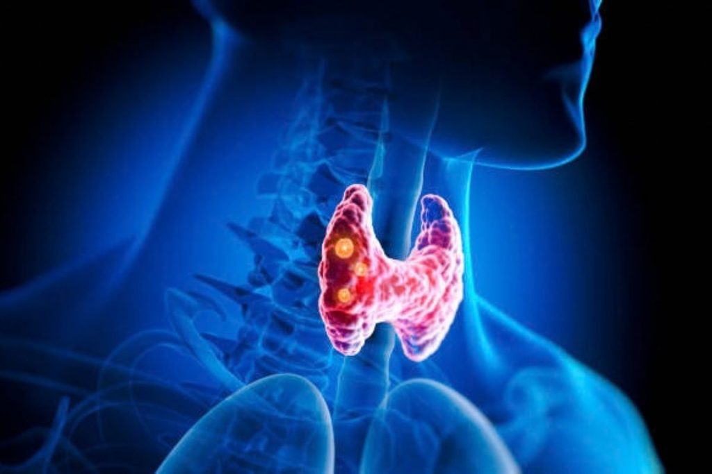 iodine and thyroid function