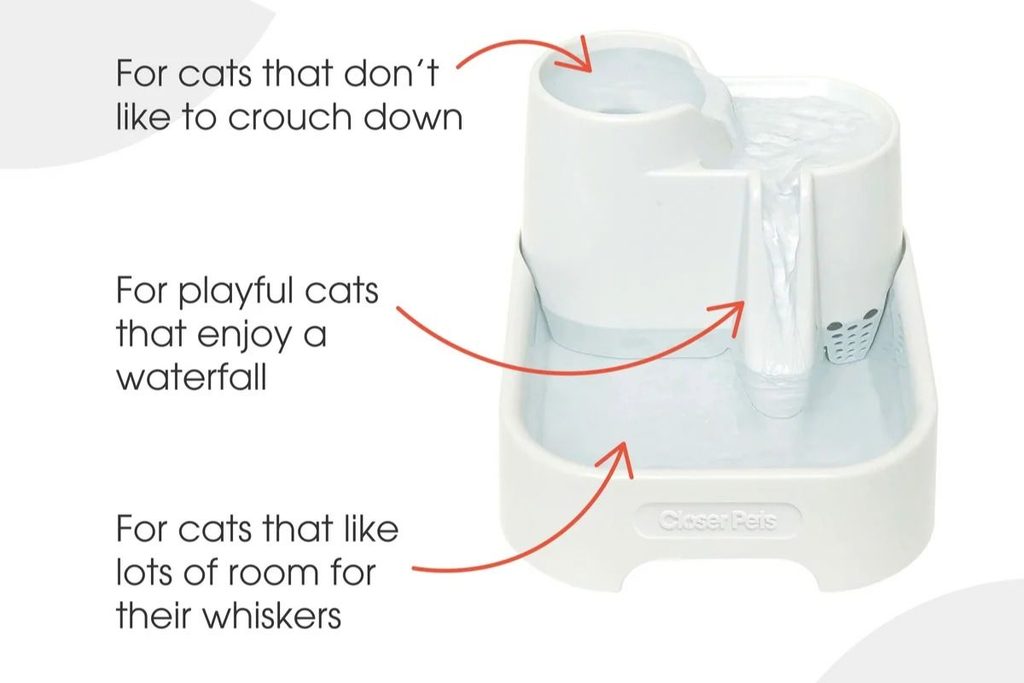 drinking fountains for cats