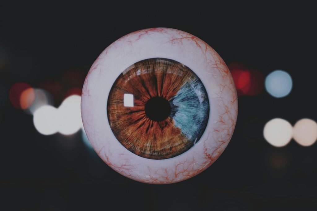 contact lenses