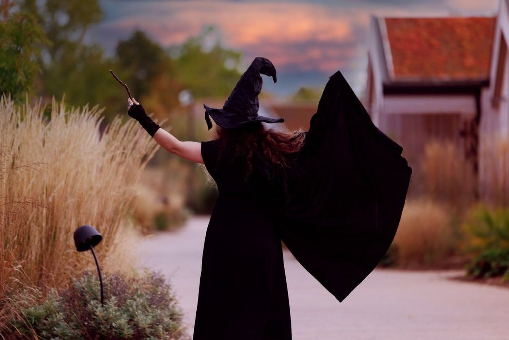 Halloween at Chester Zoo