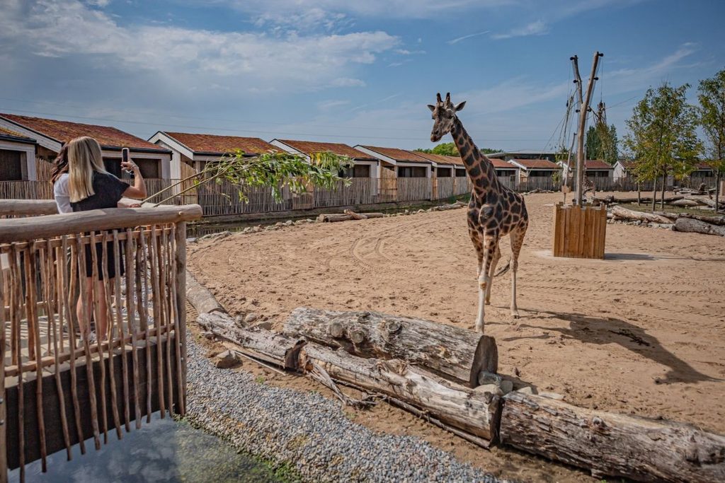 Halloween at Chester Zoo