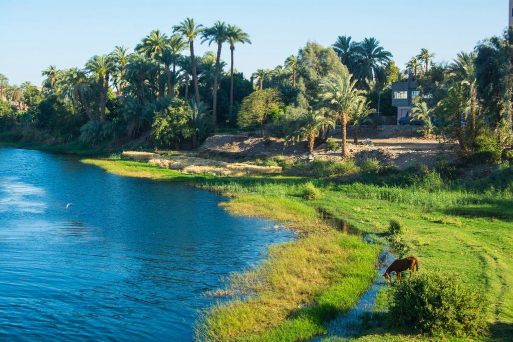 Nile River Cruise in Egypt