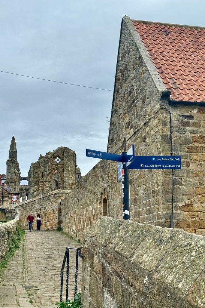 Whitby Abbey and NYMR