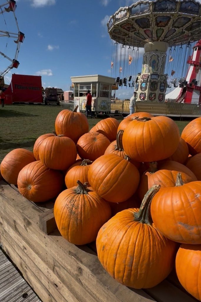 pumpkin picking
